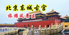 嗯啊操我免费视频中国北京-东城古宫旅游风景区